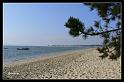 Cap Ferret 1